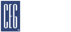 The Consulting Engineers Group, Inc.